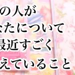 あの人が最近すごく考えていること【恋愛💖タロット】