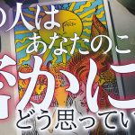 【🖐️アゲ鑑定一切なし&忖度ナシ】相手の気持ち🫏片思い複雑恋愛タロット占い💍個人鑑定級占い