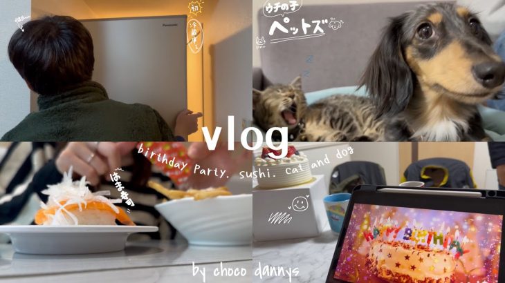 【vlog】社会人カップルの大きなお買い物する週の過ごし方🐶🐈 生活の7日間記録📝#vlog #いぬ #2023 #日常生活 #記録 #料理 #レシピ #vlogs #動画#買い物 #同棲