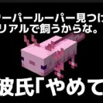 【同棲カップルでMinecraft】 彼女は最近アプデで追加された桜とウーパールーパーを見つけに行きたい。 マインクラフト