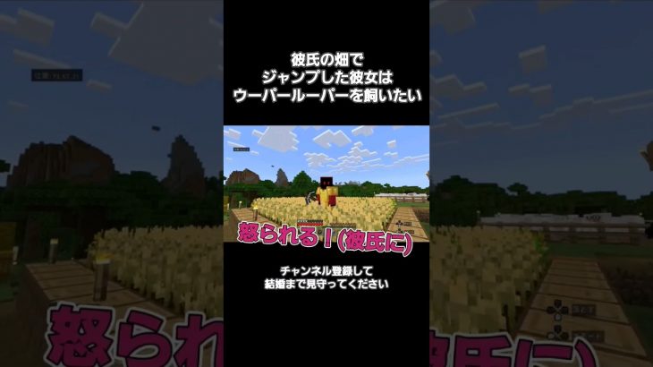 #カップル で #Minecraft #ウーパールーパー を飼いたい #彼女 が #彼氏 の #畑 を荒らしました。 #マイクラ #マインクラフト#ゲーム実況 #love #女性実況 #恋愛 #同棲