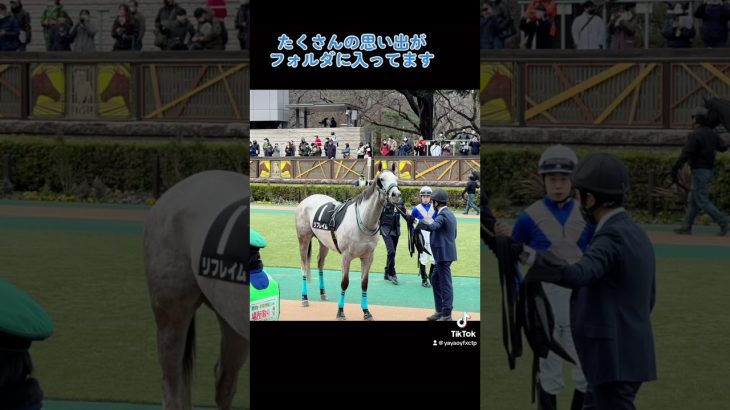 競馬カップル！！ #競馬 #競馬予想 #ウマジョ #umajo #競馬カップル #youtubeshorts #youtube #shorts  #shortvideo #shortvideos