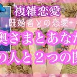 【複雑恋愛】🦋奥さまとあなた🦋彼と２つの関係とは❓【タロット占い】