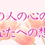 【恋愛】あの人の心の声  あなたへの想い🦋💕🌼【タロットオラクルルノルマンリーディング】