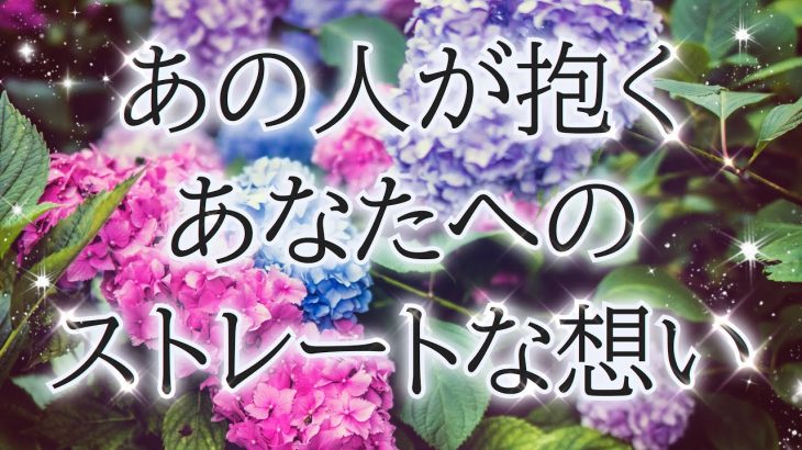 【あなたに理解して欲しい】【アゲなし鑑定】相手の気持ち✨片思い複雑恋愛☂️個人鑑定級占い