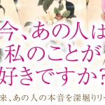 🔮恋愛タロット🌈今、あの人は私のこと好きですか❔🌈あなたに対する超本音・2人の関係・2人の未来結果💗音信不通・すれ違い・疎遠・複雑恋愛・不倫・三角関係・片思い・曖昧な関係etc.の方…恋愛成就💗