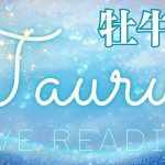 ⛱️牡牛座♉️《恋愛》最近のあの人の気持ち END JULY 7月 🩵🩷 見た時がタイミング⭐️ #taurus  #タロット #牡牛座 #tarot (2023/7/26）