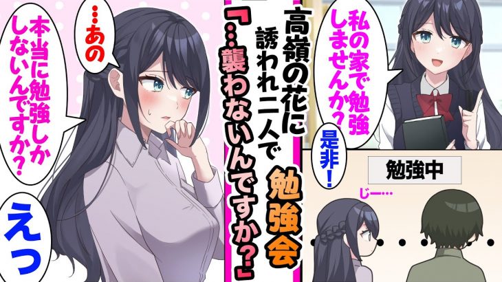 【漫画】クラスの親衛隊に守られ恋愛できない清楚で真面目なマドンナ。ある日隙を見て俺に勉強を教えてくれるというので家に招かれたら…「なんで手を出しませんの？」や初詣などの総集編【作業用・睡眠用】