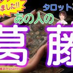 【恋愛タロット3択】視えちゃいました！あの人の葛藤【占いLIVE】