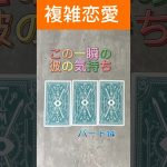 この一瞬の彼の気持ち#87tarot  #複雑恋愛 #恋愛タロット　# #霊感タロット