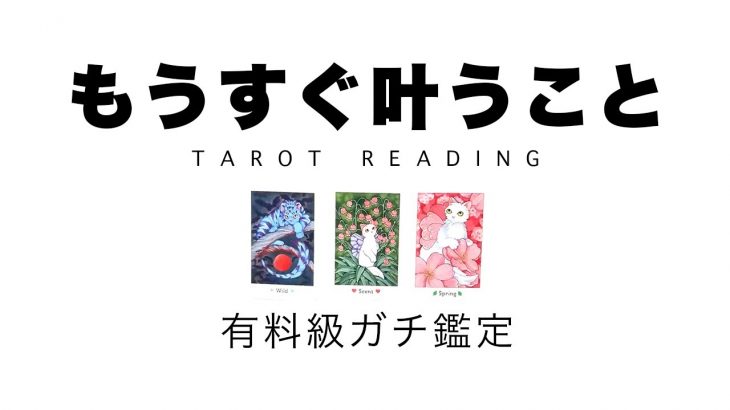 【タロット占い・再UP】あなたにとってもうすぐ叶うことをリーディング🦄✨✨仕事や恋愛プライベートなどの叶うことを詳細鑑定しました🍀✨✨【当たる３択占い】