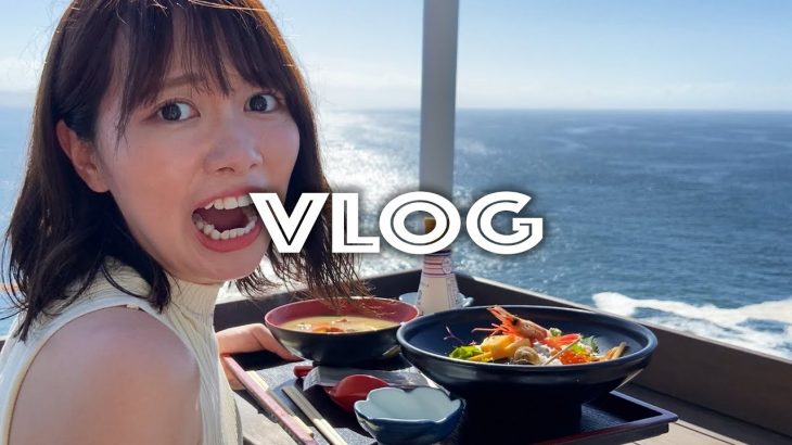 妄想では付き合ってる彼女と海鮮丼を食べるデート【VLOG】