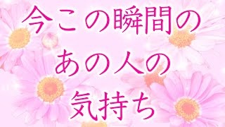 【恋愛】今正直どう思ってる？🩷今この瞬間のあの人の気持ち🌈✨💖【タロットオラクルルノルマンリーディング】🦄