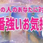 あなたに対する一番強い気持ち🦋恋愛タロット🦋相手の気持ち🦋片思い復縁複雑🦋個人鑑定級占い