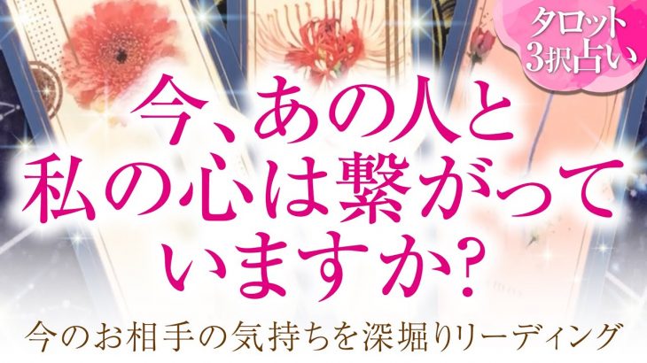 🔮恋愛タロット🌈今、あの人と私の心は繋がってる❔orすれ違ってる❔あなたに対する超本音・2人の関係・2人の未来結果💗音信不通・すれ違い・疎遠・複雑恋愛・不倫・三角関係・片思い・曖昧な関係etc.の方💗