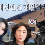 【日韓カップル:한일커플】애견동반 생일호캉스🎂🐶🩷 愛犬と一緒に誕生日ホカンス