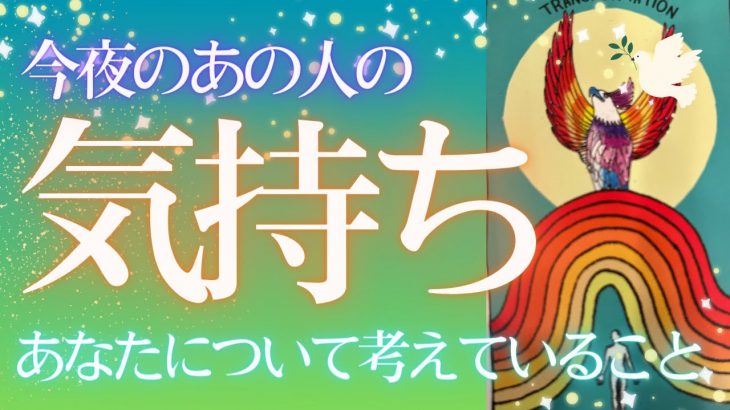 【迷いが晴れます☀️💫】今夜の相手の気持ち❤️恋愛タロット占い