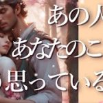 ※ピリ辛の箇所あり⚠️あの人はあなたのことをどう思っている？🧸占い💖恋愛・片思い・復縁・複雑恋愛・好きな人・疎遠・タロット・オラクルカード