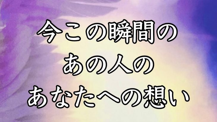 【恋愛タロット】今この瞬間のあの人のあなたへの想い✨🩷【タロットオラクルルノルマンリーディング】🐢