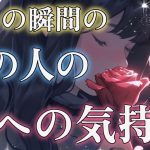 【緊急】【アゲなし忖度ナシ鑑定】相手の気持ち🌹片思い複雑恋愛✨タロットカードリーディング🌈個人鑑定級占い🔮見た時がタイミング