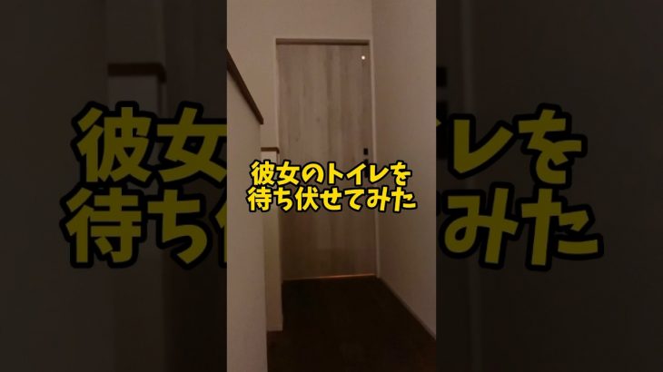 ［カップルの日常］彼女が可愛すぎる #恋愛 #カップル #vlog #11歳差カップル #おもしろ動画 #年の差カップル #カップルチャンネル #ほのぼの