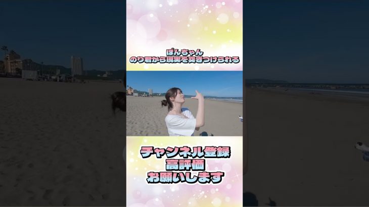 【衝撃】のり君から現実を突きつけられてショックを受けるぽんちゃんwww#shorts #のりぽん