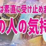 あの人の気持ち🦋恋愛タロット🦋相手の気持ち🦋片思い復縁複雑🦋個人鑑定級占い