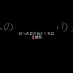 耳のヒミツ。【ぼくみみ小学校#2】#僕耳#ぼくみみ#カップルチャンネル#耳掃除#耳垢#ear#asmr#earcleaning#earwax#귀청소#ぼくみみ小学校